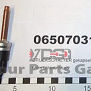 Technotrans Pressure Switch 065070314 (065.07.0314)