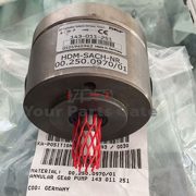 annular gear pump 00.250.0970